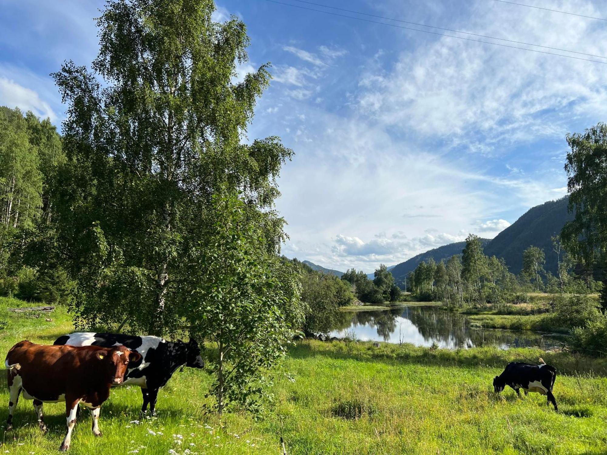 Sevletunet B&B And Cabins Rodberg Bagian luar foto