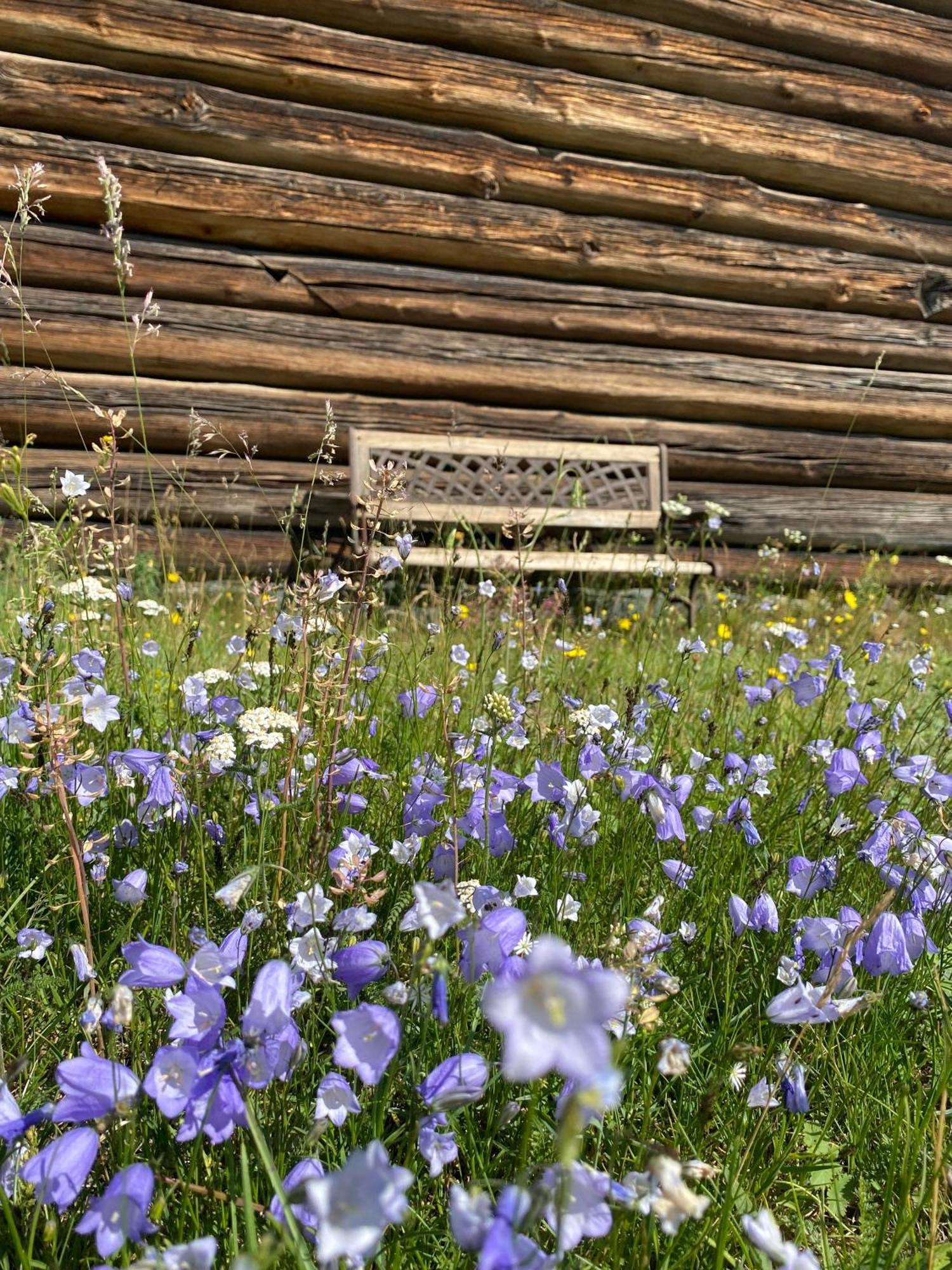 Sevletunet B&B And Cabins Rodberg Bagian luar foto